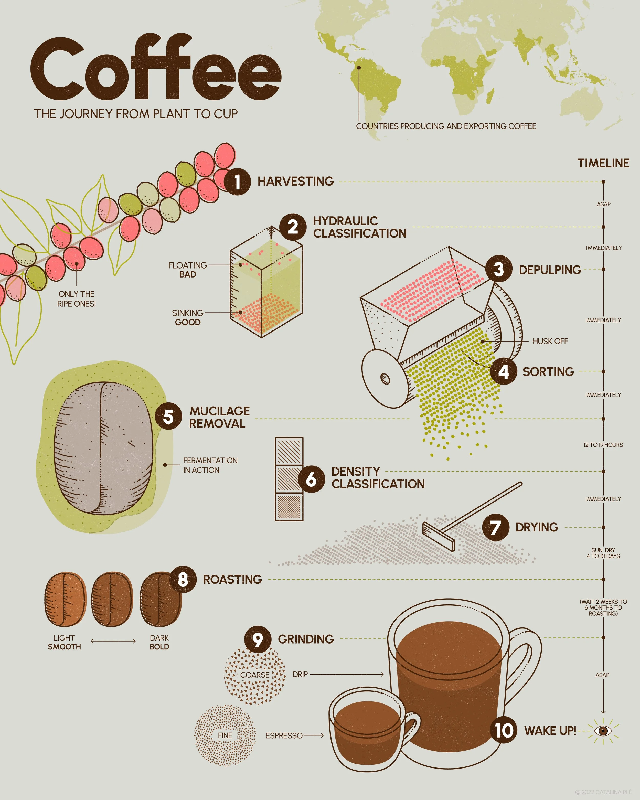 洋書 Visual Storytelling Infographic Design Visual Storytelling: Infographic Design in News: Yikun, Liu, Zhao